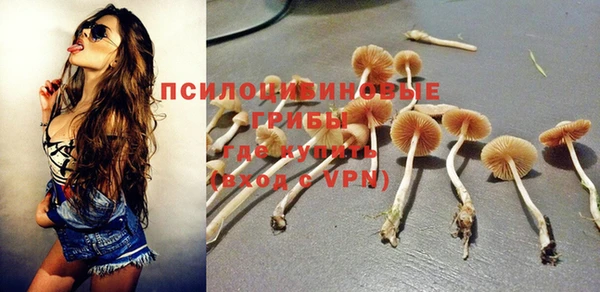 мескалин Козловка